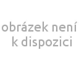 Domácí kalhoty dámské Obrázek pro produkt Domácí kalhoty dámské